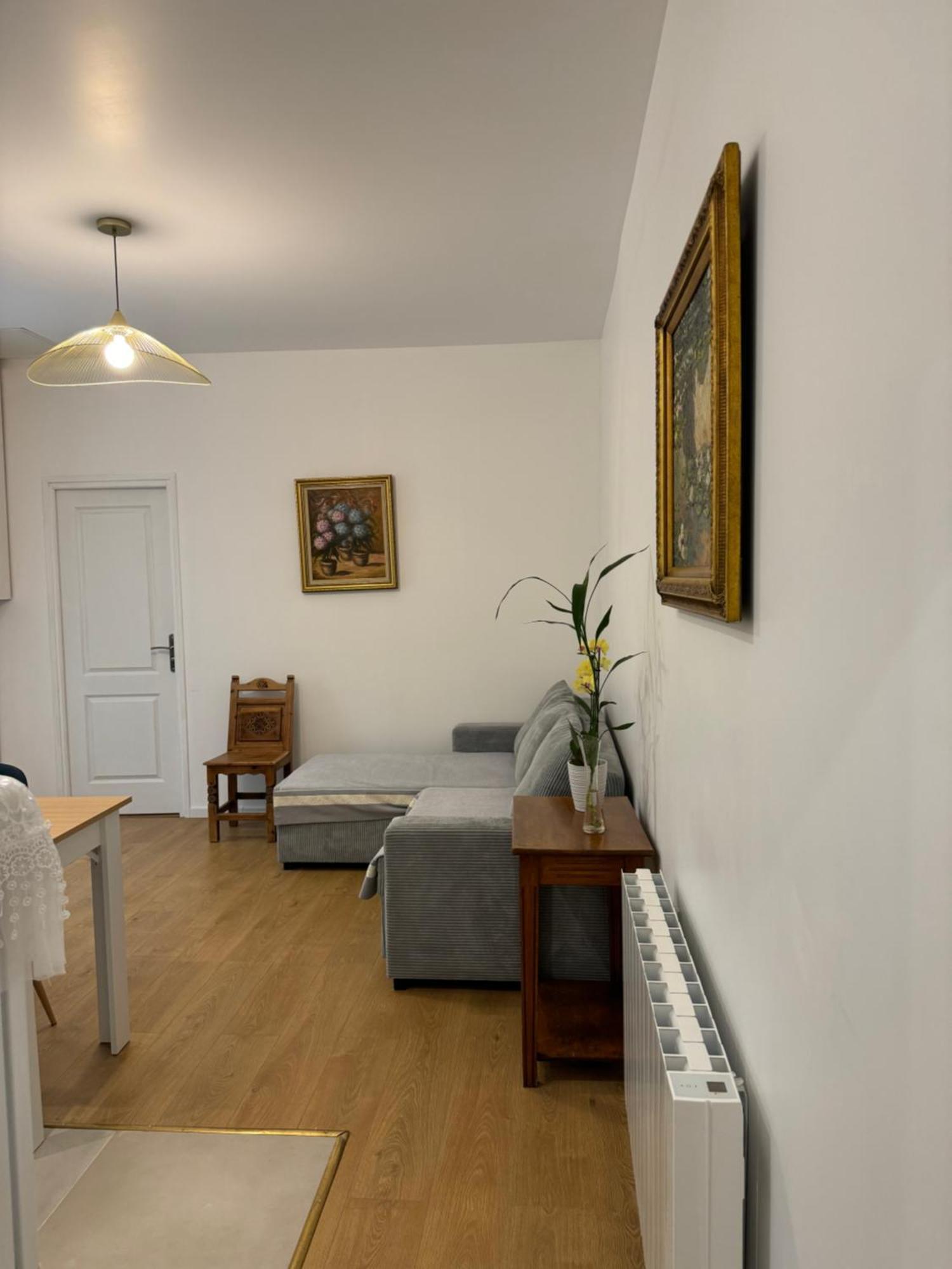 Appartement Meuble Tout Confort Chalon-sur-Saône Exteriör bild